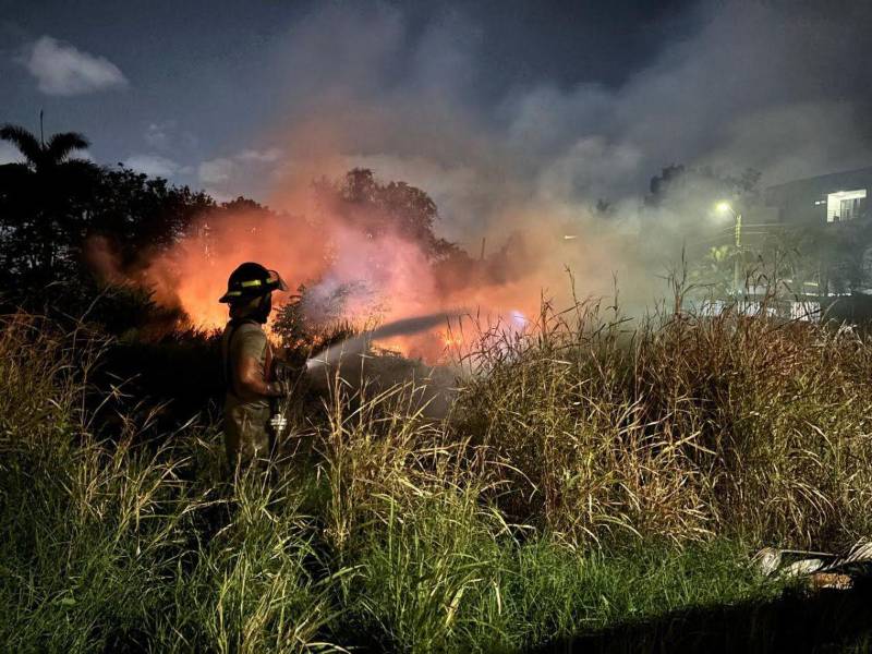Los incendios en zacateras también han aumentado. Piden a la población evitar tirar cigarros encendidos y botellas de vidrio por el efecto lupa.