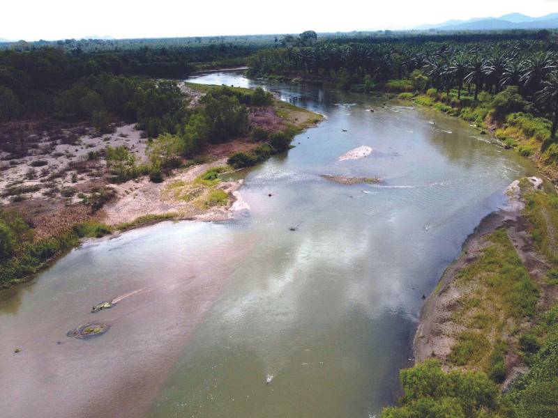 Los agricultores esperan que pronto llueva para recuperar las producción.