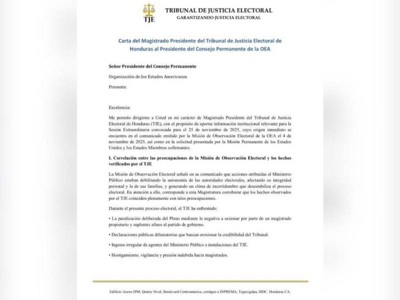 La carta enviada por Mario Flores Urrutia al Consejo Permanente.