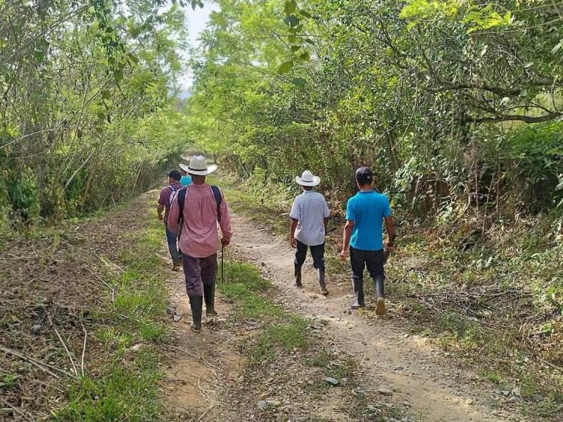 La pequeña Reyna Danesi Erazo fue hallada sana y salva en Sonaguera, Colón