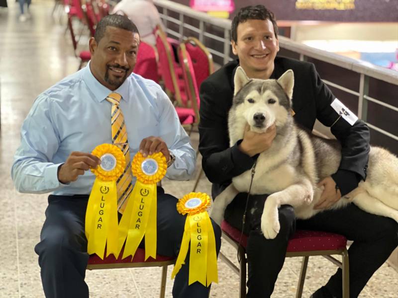 Al menos unos 1,100 canes y sus entrenadores participaron el fin de semana en la exposición canina de las Américas y el Caribe, que por primera vez se llevó a cabo en Honduras.
