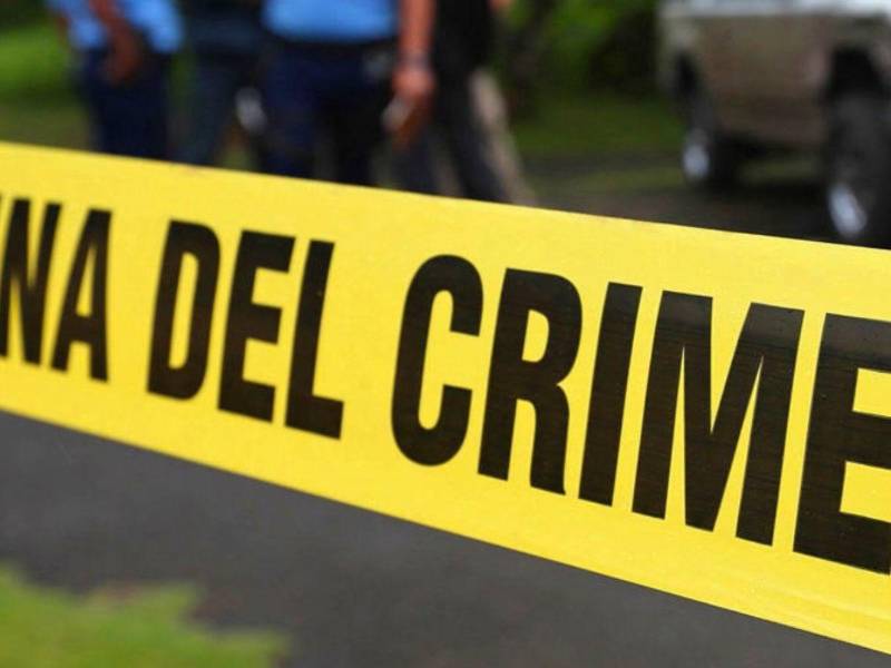 Un hombre en Nueva York, Estados Unidos, llamó al 911 para pedir ayuda mientras, según las autoridades, su propio hijo lo atacaba con un cuchillo dentro de su apartamento.