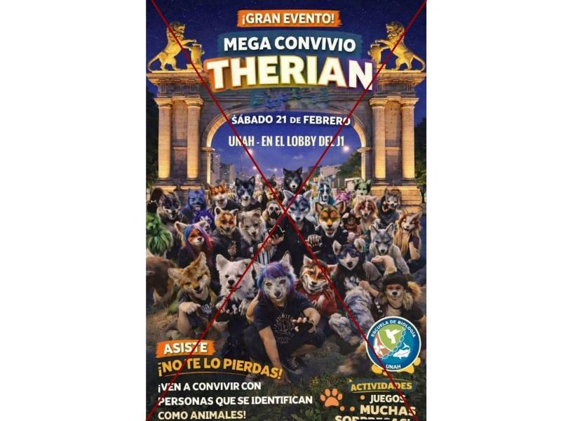 Captura de pantalla a un contenido de WhatsApp hecha el 20 de febrero de 2026.