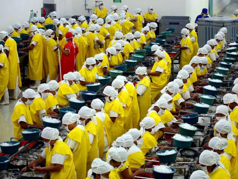 Los bajos precios que China ofrece por el camarón entero cultivado en Choluteca y Valle frenan las exportaciones hondureñas.