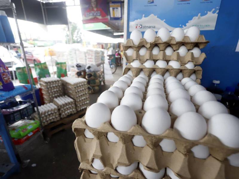 Los vendedores confían en que la suspensión de la alerta sanitaria permita estabilizar la producción y reduzca el precio del huevo, uno de los alimentos de mayor consumo en los hogares hondureños.