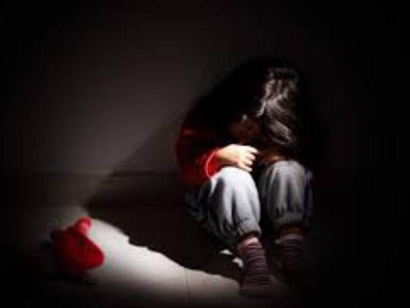 Autoridades y personal de la SENAF y COIPRODEN presentan la campaña “Denunciar es solo el comienzo” para promover la protección integral de la niñez hondureña.