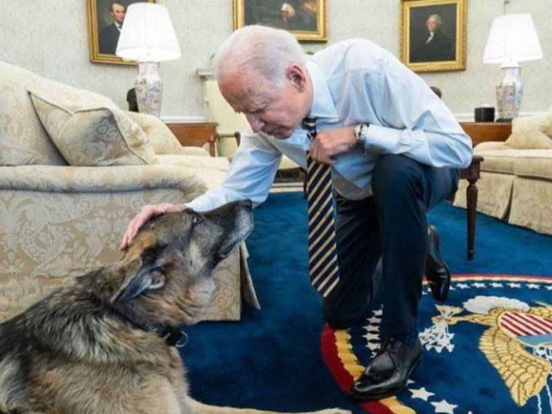Commander, el pastor alemán del presidente estadounidense, Joe Biden, mordió el lunes a un agente del Servicio Secreto, según informó este martes a la prensa el portavoz de ese cuerpo, Anthony Guglielmi.