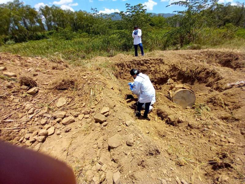 La Policía Nacional incautó logística y precursores químicos utilizados para la producción de drogas en Santa Bárbara, zona noroccidental de Honduras.