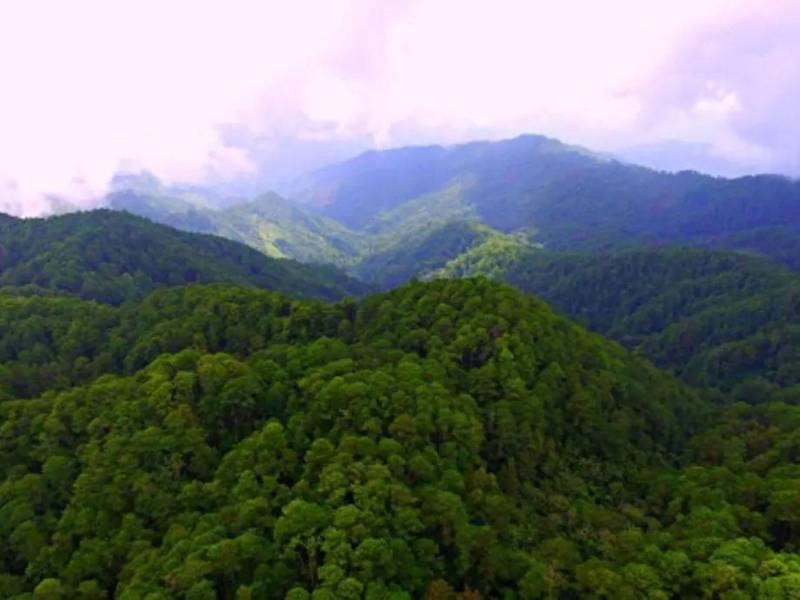 Fotografía aérea de la montaña, El Merendón.