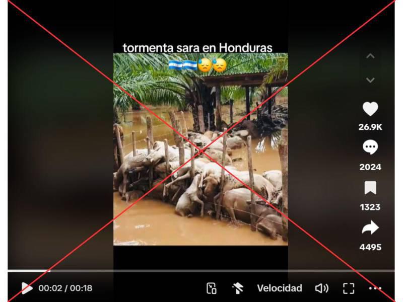 Captura de pantalla a una publicación en TikTok.