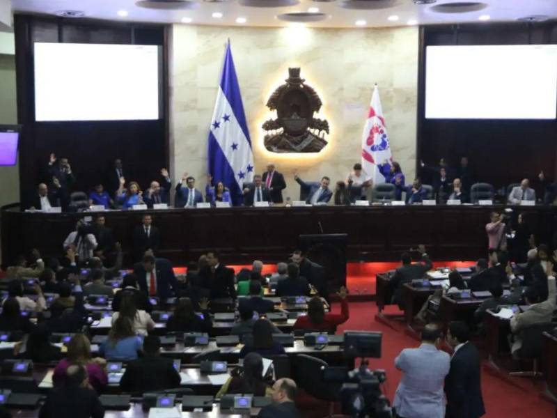 Congreso Nacional no logra consensos para autoridades del CNE y TJE.