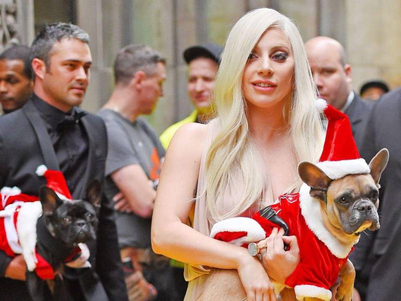 La cantante Lady Gaga junto a sus perros.