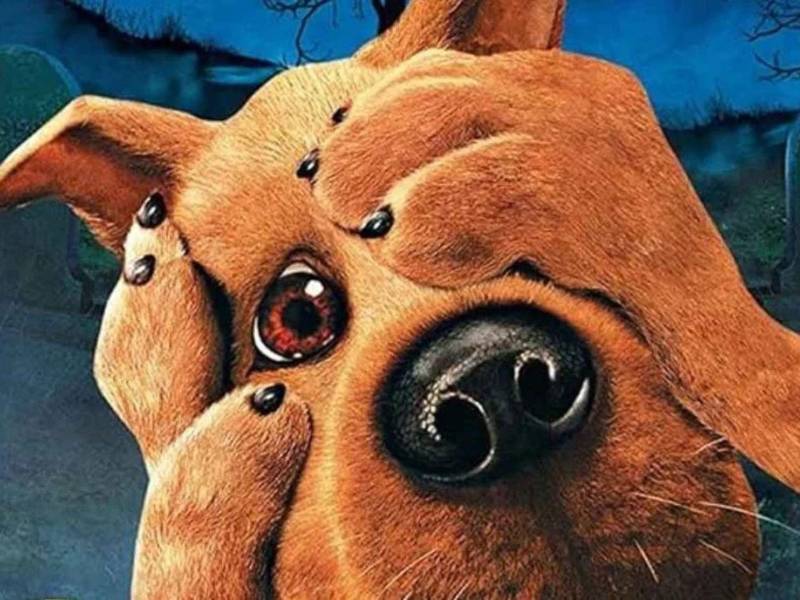 La plataforma Netflix reveló el primer vistazo de Scooby-Doo: Origins, una nueva serie en acción real que reimagina el origen de la icónica pandilla de Misterios Inc., creada por William Hanna y Joseph Barbera.
