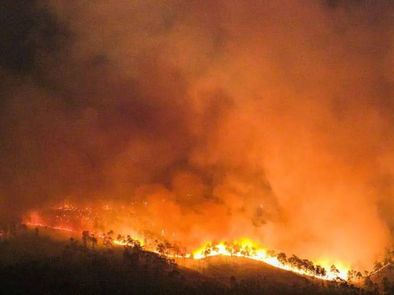 Los registros oficiales muestran una alta concentración de incendios forestales en el centro y oriente del país.