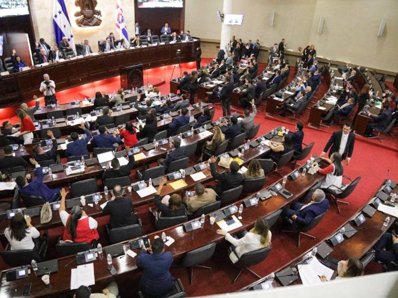 El Congreso Nacional aprobó por unanimidad el martes 9 de junio otorgar la Condecoración de la Gran Cruz con Placa de Oro al beisbolista hondureño Mauricio André Dubón Doblado, jardinero de los Bravos de Atlanta.