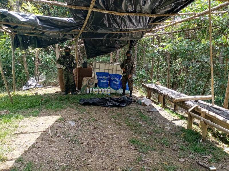 La Policía Militar localizaron este viernes ocho manzanas cultivadas con arbustos de hoja de coca y un laboratorio supuestamente dedicado a procesar este tipo de droga.