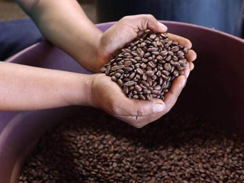 El país ha avanzado en la aplicación de estándares ambientales, derechos laborales y control de origen, consolidando al café como el principal rubro de exportación.