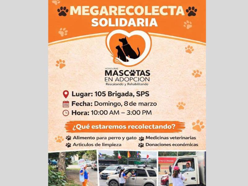 La megarrecolecta se llevará a cabo este domingo a partir de las 10:00 am en la 105 Brigada