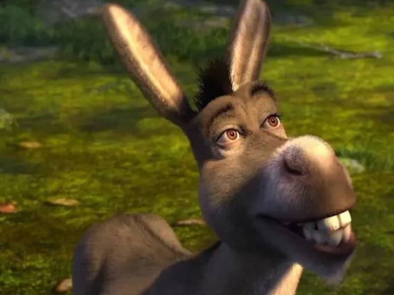 El universo de Shrek continúa expandiéndose. Universal Pictures y DreamWorks Animation confirmaron oficialmente que Burro, el carismático compañero del ogro más famoso del cine, protagonizará su primera película en solitario, una producción que promete responder una de las preguntas más curiosas de los fanáticos: ¿cómo adquirió la capacidad de hablar?