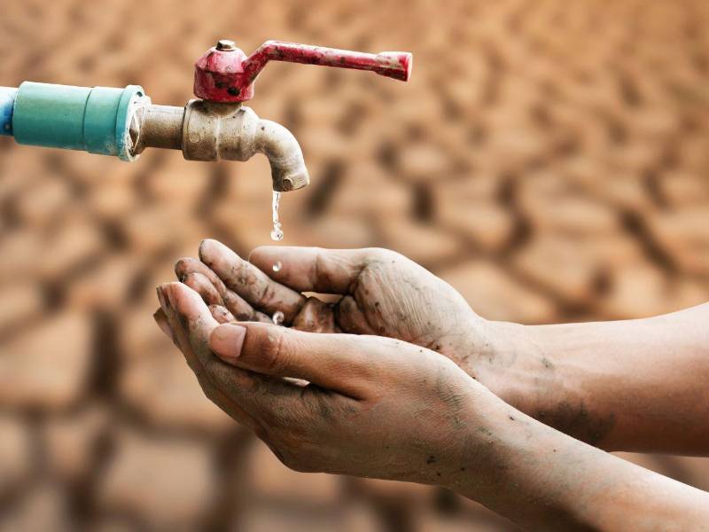 La sequía ha golpeado extensas zonas agrícolas de Honduras, reduciendo las fuentes de agua, afectando cultivos y aumentando la presión sobre productores y comunidades.