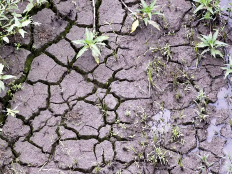 El fenómeno de El Niño genera ya preocupación por sus posibles efectos en la agricultura, la generación de energía hidroeléctrica y la seguridad alimentaria.
