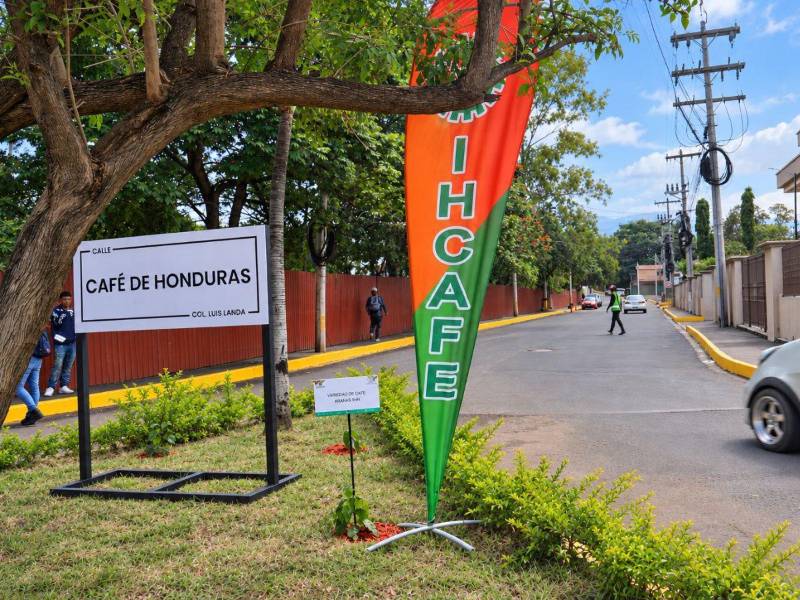 La vía fue inaugurada se localiza frente a las instalaciones del Ihcafe.