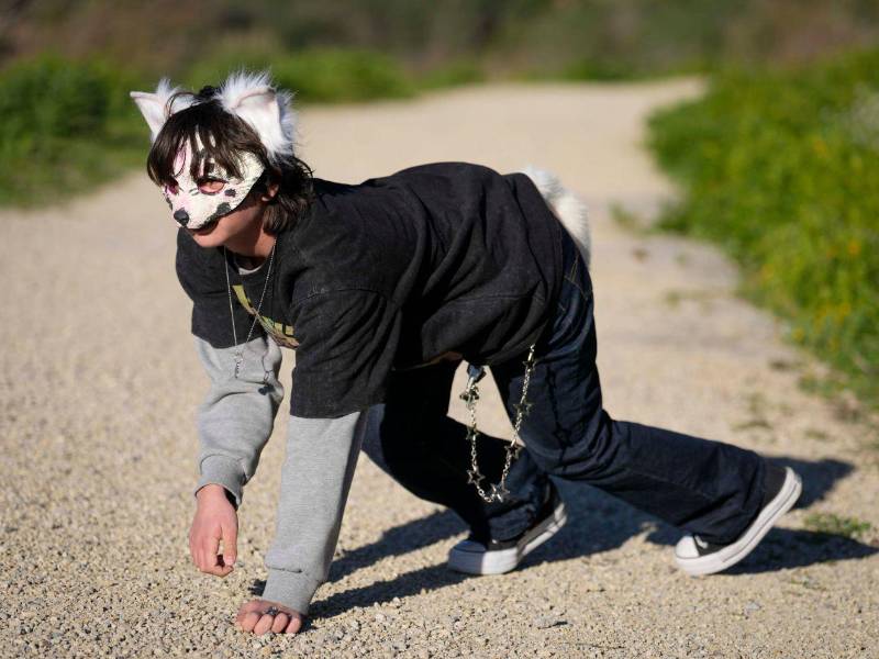 Aseguran identificarse con animales y actúan como tal, tapando sus rostros con máscaras, moviéndose a cuatro patas, saltando o reptando: son los 'therians', un fenómeno que se ha hecho viral en redes sociales y que este viernes y sábado reunirá en ciudades españolas como Barcelona y Bilbao a los miembros de la comunidad.