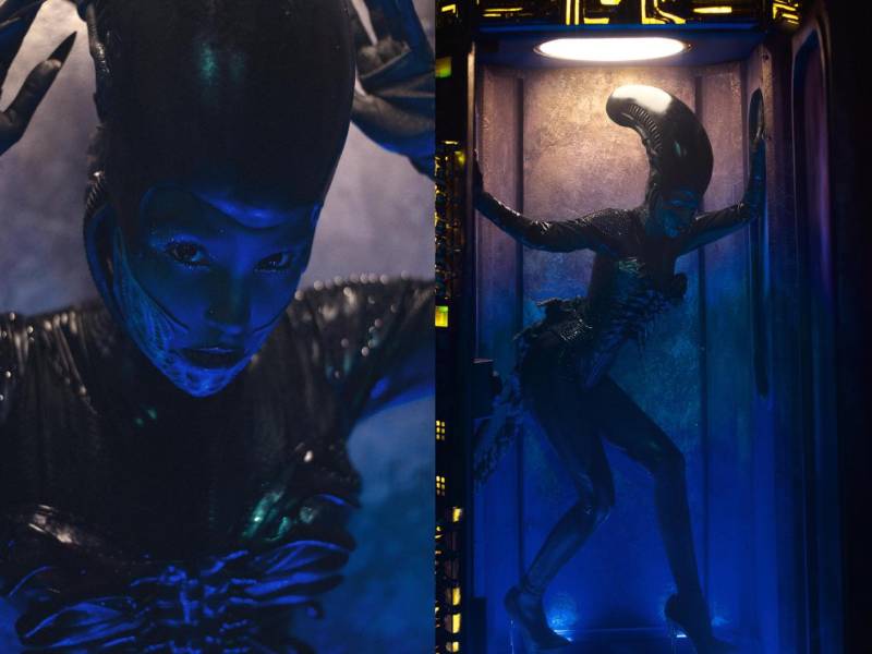 El Belliween 2026 estuvo marcado por la creatividad, los disfraces y la presencia de reconocidas figuras del espectáculo. Belinda reunió a amigos y celebridades en una noche de Halloween que tuvo como protagonista una temática extraterrestre y de ciencia ficción.