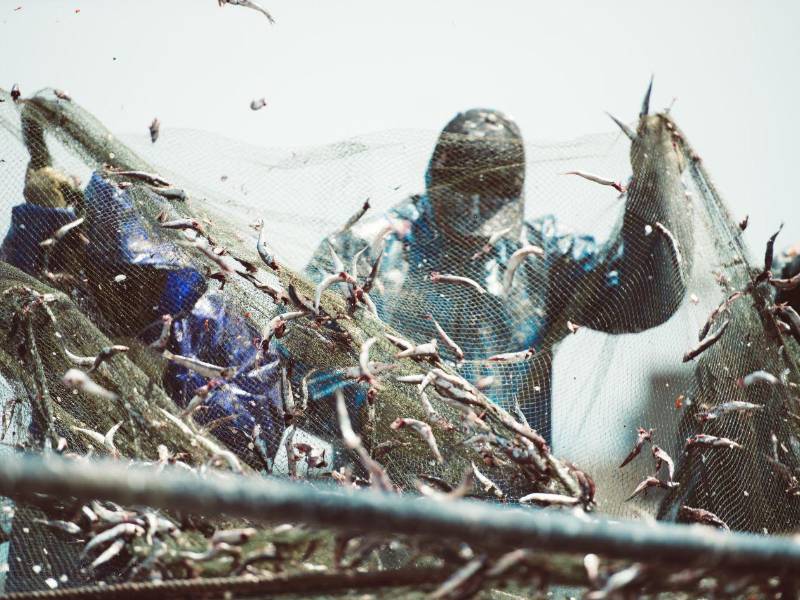 Buscan evitar accidentes y lesiones que afecten a los pescadores artesanales e industriales.