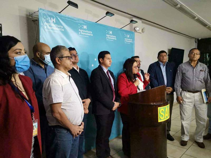 Autoridades se reunieron ayer para poner en marcha el plan preventivo por la influenza aviar.