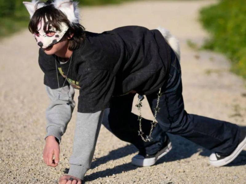 El movimiento 'therian' surgió en la década de 1990, pero ahora alcanza su máxima popularidad gracias a redes como TikTok, Instagram o YouTube, donde estas personas, en su mayoría adolescentes, comparten vídeos con sus experiencias de identidad animal.