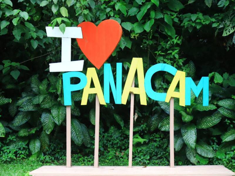 Honduras destaca por sus imponentes montañas y cascadas que ofrecen múltiples opciones para disfrutar de actividades al aire libre. Es un destino ideal para los amantes de la aventura y la adrenalina. Aquí te dejamos el top de destinos para disfrutar durante la Semana Morazánica 2026.
