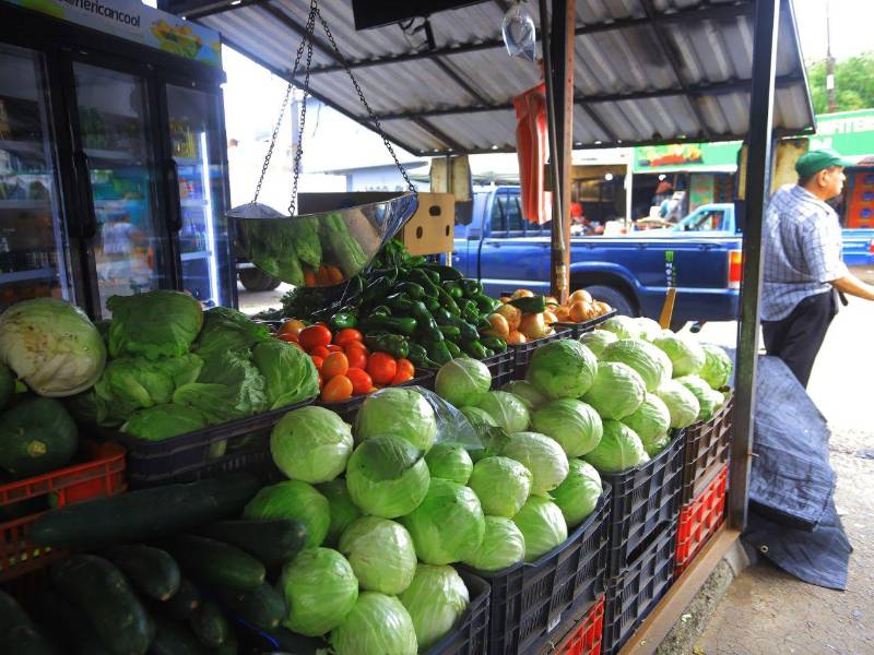 Los productos de mayor demanda, como el tomate, la cebolla, la papa y las habichuelas, continúan registrando aumentos constantes.