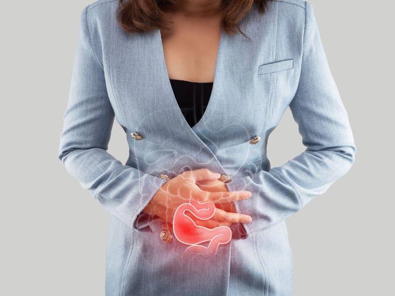 El estrógeno activa vías hasta ahora desconocidas en el colon que pueden desencadenar dolor y hacer que el intestino femenino sea más sensible a ciertos alimentos y a sus productos de degradación.