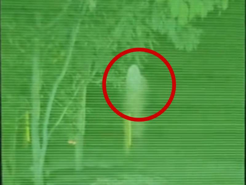 En el círculo rojo se observa lo que un hondureño asegura que es un fantasma grabado en la <a rel=noopener noreferrer href=https://www.laprensa.hn/fotogalerias/honduras/cuesta-virgen-mitos-leyendas-EF30245346 target=_blank>Cuesta de la Virgen</a> en la carretera CA-5 en el departamento de Comayagua.