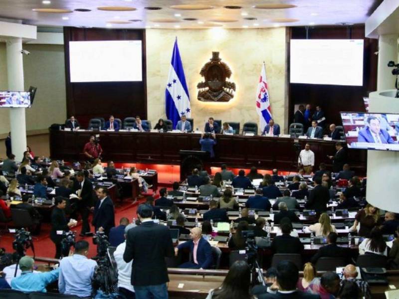 ​El paquete normativo remitido por el Poder Ejecutivo contempla la adquisición formal de 80 megavatios (MW) distribuidos entre las sociedades mercantiles Edenisa Energy Trading S.A. de C.V. y Pan-Am Generating Limited S.A. de C.V..