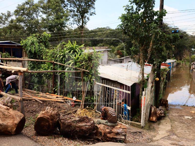 La emergencia ha obligado a las familias a improvisar ante el avance del agua. Algunos adultos mayores se resisten a abandonar sus viviendas por temor a perder sus pertenencias, pese al riesgo que representa la crecida del Lago de Yojoa.