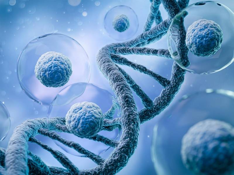 Imagen referencial en 3D que representa el fondo microscopio de células humanas.