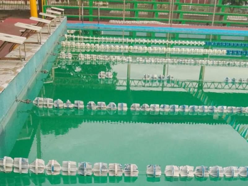 La contaminación del agua en las albercas es evidente.