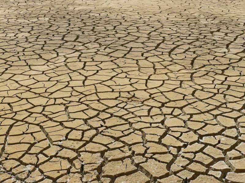 La Cenaos informó que este años el Fenómeno de El Niño afectará aún más a Honduras.