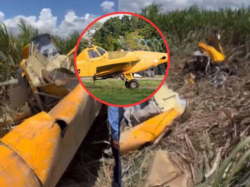 Vista de la escena del accidente donde cayó la avioneta.