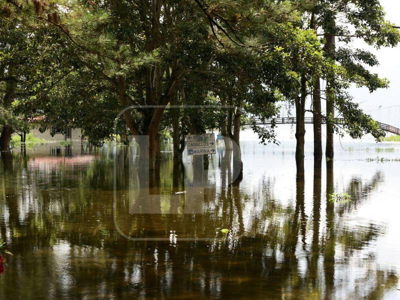 Parte del complejo turístico Finca Las Glorias permanece inundado por la crecida del Lago de Yojoa. Ante la situación, la administración invirtió en rampas flotantes para que los visitantes puedan continuar disfrutando de algunas actividades. Una alternativa que refleja el esfuerzo del negocio por adaptarse a la emergencia y hacerle frente a las pérdidas económicas.