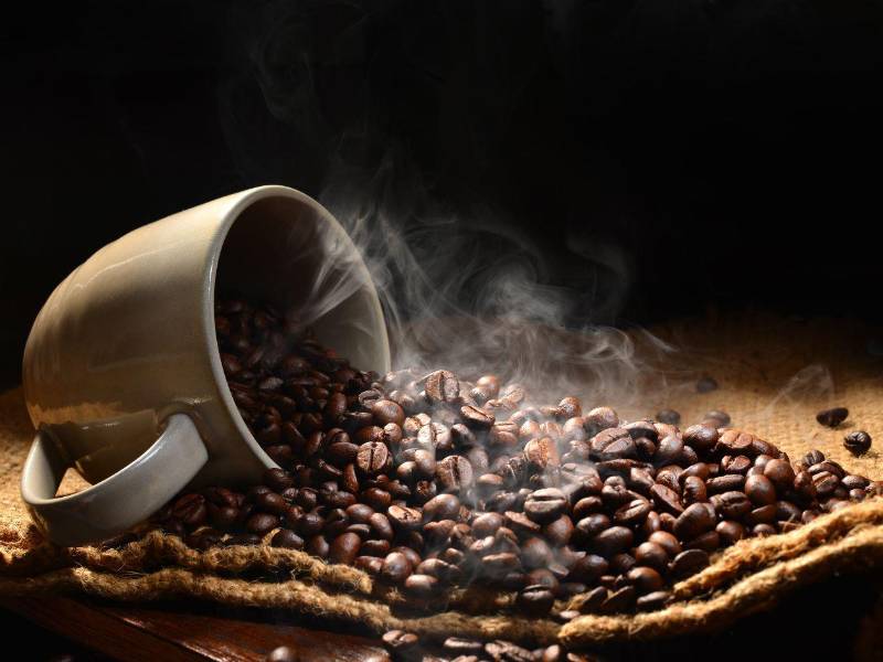 Honduras ha exportado en la nueva cosecha de café, que termina en septiembre de 2026, 3,023,652 sacos (de 46 kilogramos), 57.6% más que la cantidad registrada en los primeros meses del ciclo 2024-2025.