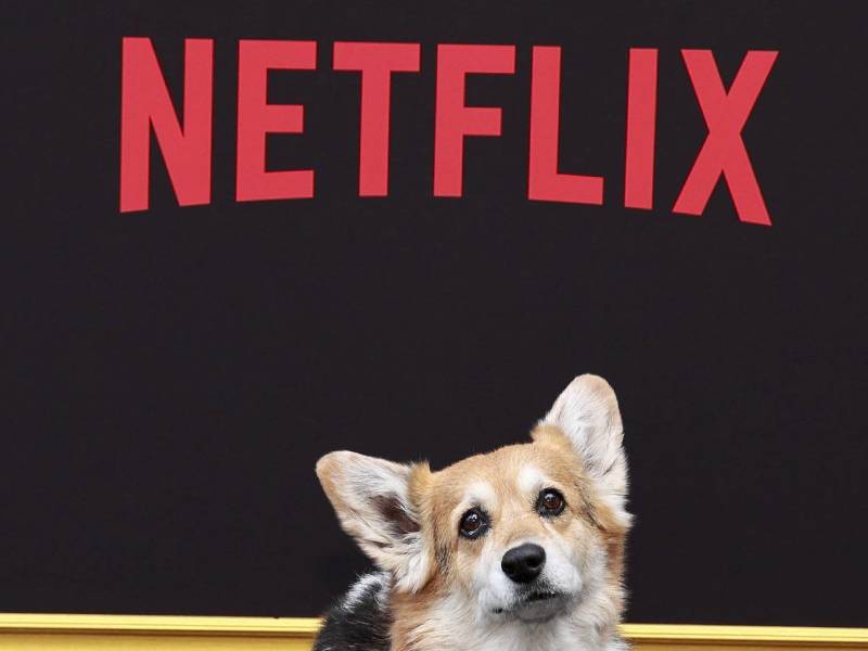 Este plan, que también se empieza a aplicar en Portugal, Nueva Zelanda y Canadá