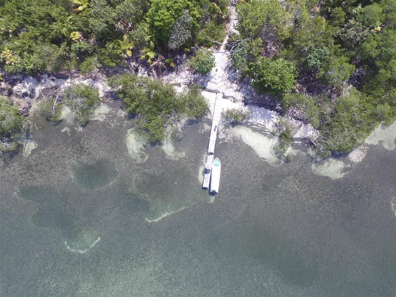 El objetivo no es limitar la actividad turística, sino promoverla manteniendo la belleza natural en los refugios de vida silvestre como este de Turtle Harbour, Utila.