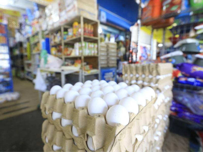 Los productores avícolas sostienen que el huevo es uno de los productos más afectados en la canasta básica, debido a los altos costos del alimento concentrado.