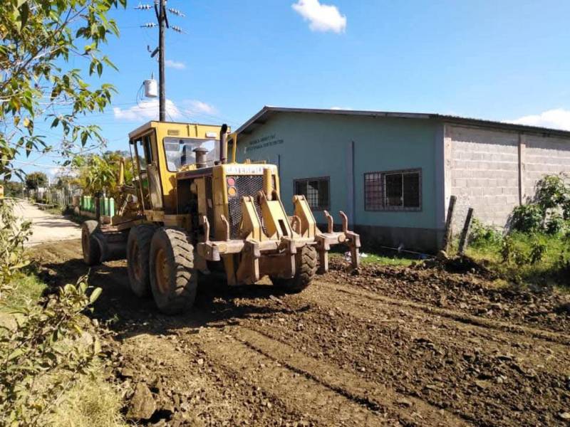 Las vías de acceso a las fincas productoras están recibiendo mantenimiento.
