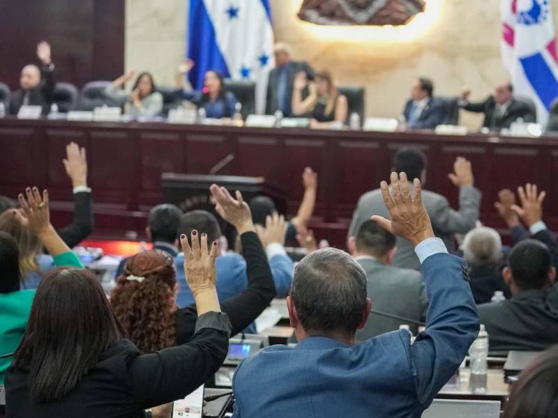 Diputados del Congreso Nacional aprobaron por unanimidad 10 contratos vinculados a proyectos sociales y consultorías financiados con recursos del BID y el BCIE.