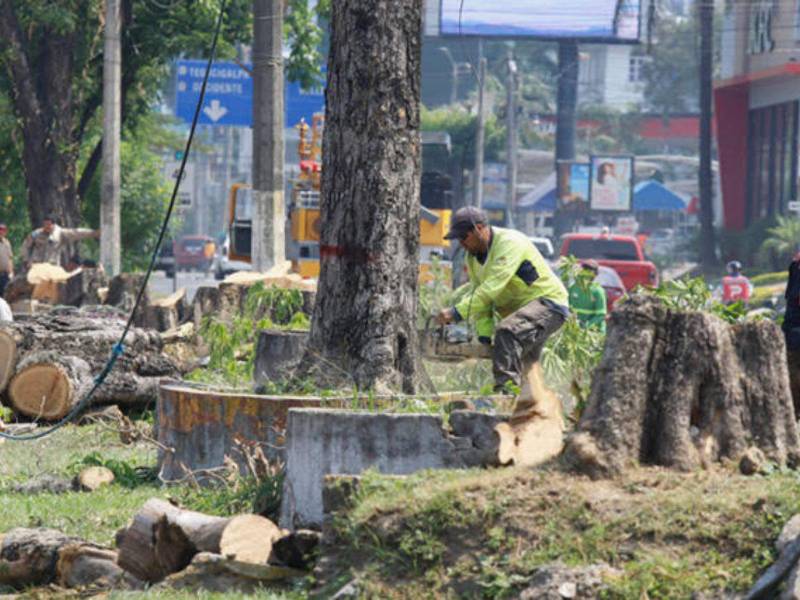 Los sampedranos realizaron una avalancha de comentarios exigiendo una explicación del crimen ambiental ocurrido en la Circunvalación.