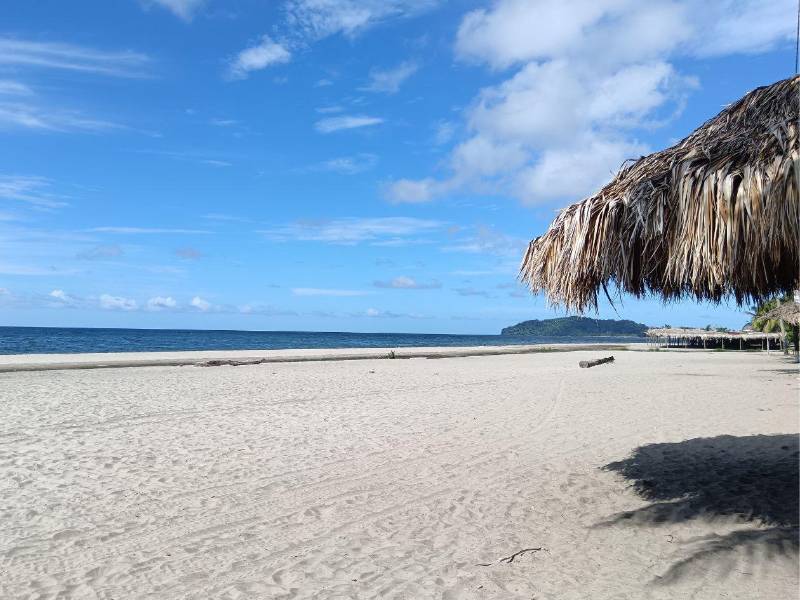 El sector privado y la municipalidad de Tela tienen planeado instalar vallas publicitarias en Guatemala y El Salvador para invitar a los nacionales de esos países a visitar las playas de ese municipio caribeño de Honduras.